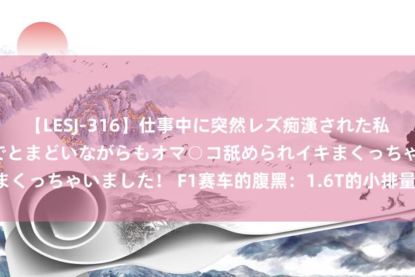 【LESJ-316】仕事中に突然レズ痴漢された私（ノンケ）初めての経験でとまどいながらもオマ○コ舐められイキまくっちゃいました！ F1赛车的腹黑：1.6T的小排量，超跑的能源！