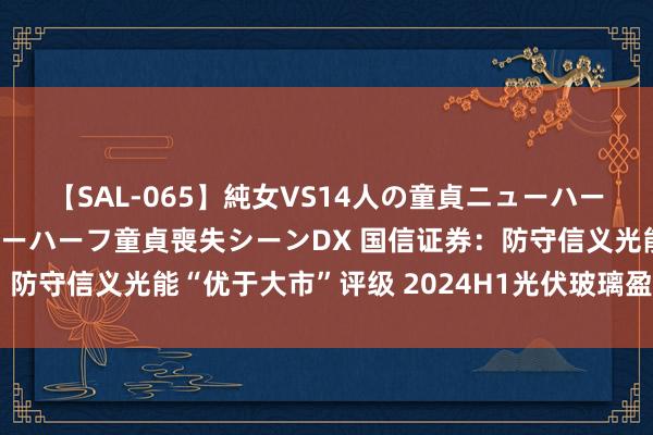 【SAL-065】純女VS14人の童貞ニューハーフ 二度と見れないニューハーフ童貞喪失シーンDX 国信证券：防守信义光能“优于大市”评级 2024H1光伏玻璃盈利同比改善