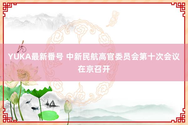 YUKA最新番号 中新民航高官委员会第十次会议在京召开