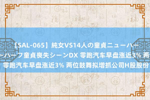 【SAL-065】純女VS14人の童貞ニューハーフ 二度と見れないニューハーフ童貞喪失シーンDX 零跑汽车早盘涨近3% 两位鼓舞拟增抓公司H股股份