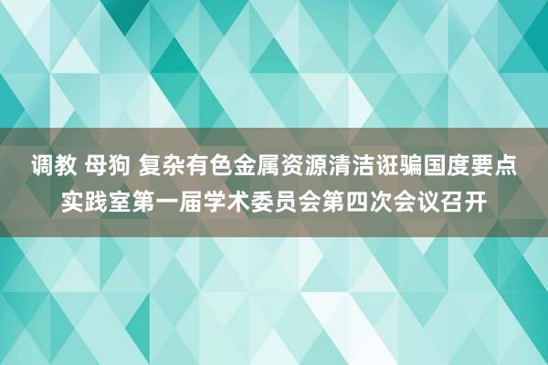 调教 母狗 复杂有色金属资源清洁诳骗国度要点实践室第一届学术委员会第四次会议召开