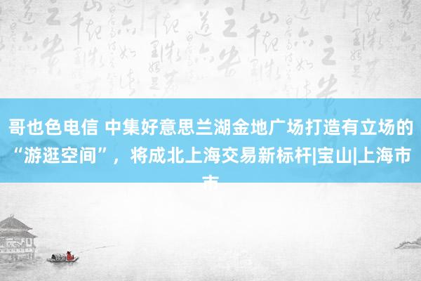 哥也色电信 中集好意思兰湖金地广场打造有立场的“游逛空间”，将成北上海交易新标杆|宝山|上海市